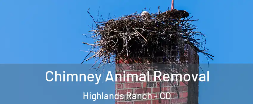  Chimney Animal Removal Highlands Ranch - CO