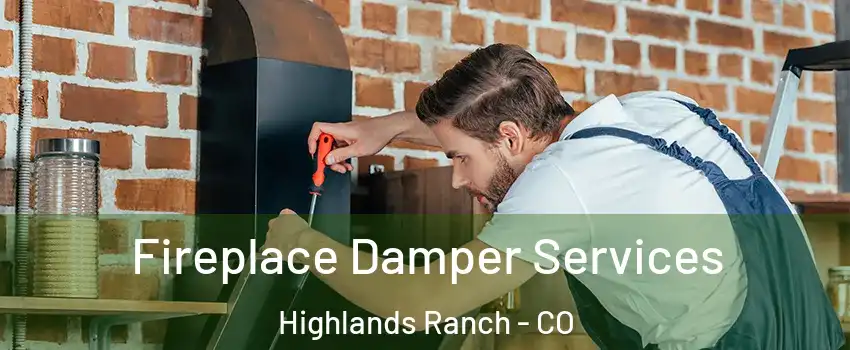 Fireplace Damper Services Highlands Ranch - CO