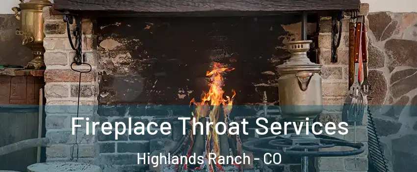  Fireplace Throat Services Highlands Ranch - CO