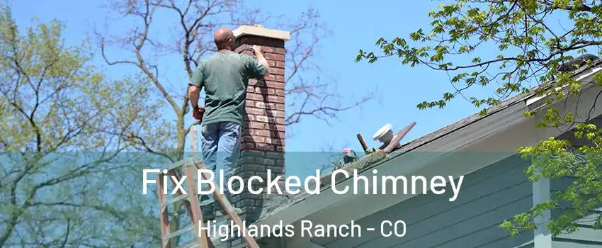  Fix Blocked Chimney Highlands Ranch - CO