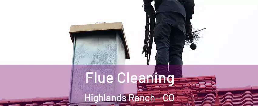  Flue Cleaning Highlands Ranch - CO