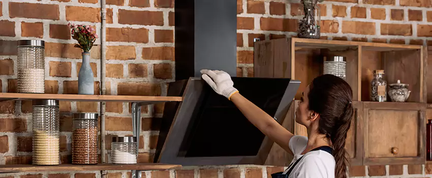 Chimney Installation in Highlands Ranch, CO