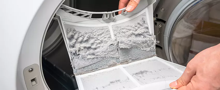 Best Dryer Lint Removal Company in Highlands Ranch, Colorado
