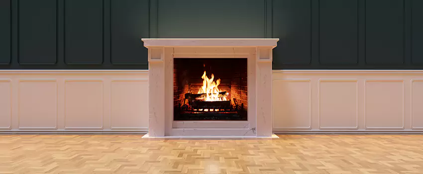 Napoleon Electric Fireplaces Inspection Service in Highlands Ranch, Colorado