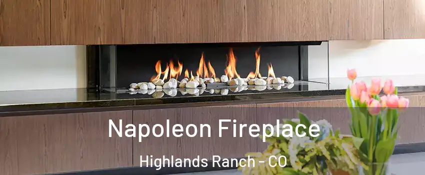  Napoleon Fireplace Highlands Ranch - CO
