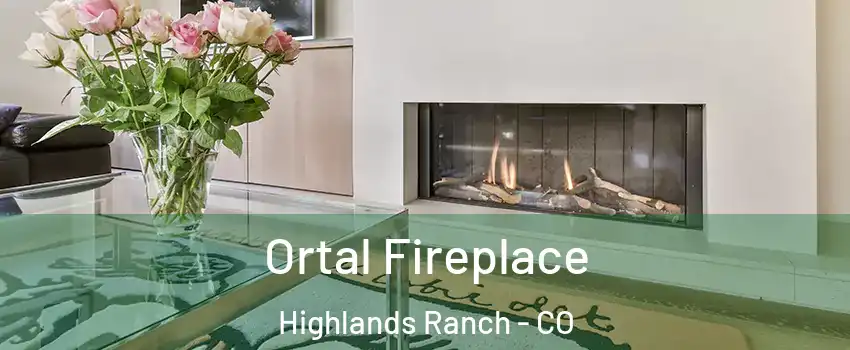  Ortal Fireplace Highlands Ranch - CO